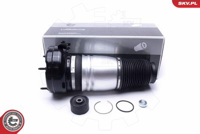 Pneimoatsperes statnis ESEN SKV 58SKV070