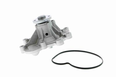 Ūdens sūknis, dzinēja dzesēšana VAICO V30-50088