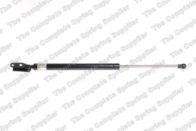 Gāzes atspere, Bagāžas/Kravas nodalījuma vāks LESJOFORS 8155444