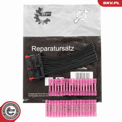 Remkomplekts, Vadu komplekts ESEN SKV 53SKV278