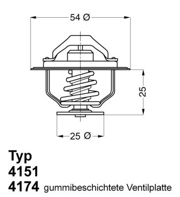 Termostats, Dzesēšanas šķidrums BorgWarner (Wahler) 4174.79D