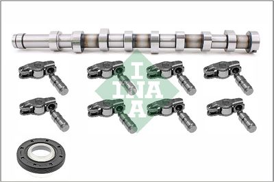 Комплект распредвала Schaeffler INA 428 0056 30