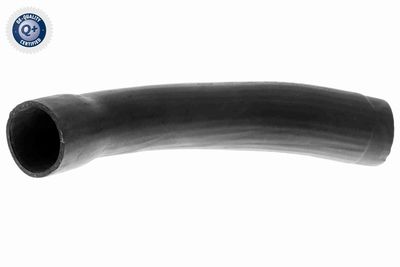 Pūtes sistēmas gaisa caurule VAICO V420589