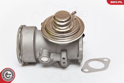 Клапан возврата ОГ ESEN SKV 14SKV080