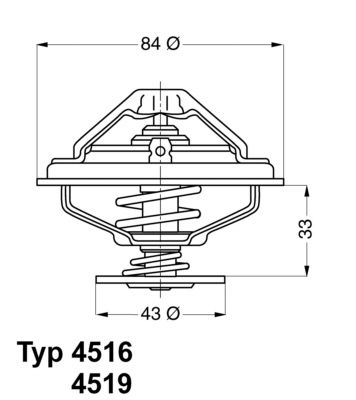 Termostats, Dzesēšanas šķidrums BorgWarner (Wahler) 4516.70D