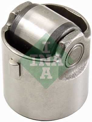 Plunžeris, Augstspiediena sūknis Schaeffler INA 711 0314 10