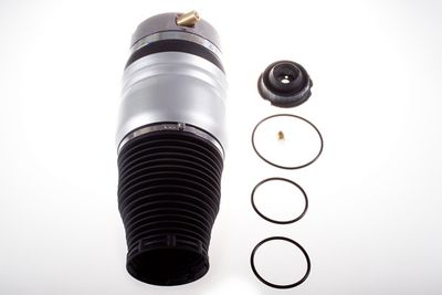 Pneimoatspere, Balstiekārta DENCKERMANN DSA114G