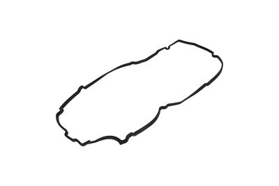 Blīve, Motora bloka galvas vāks KAMOKA 8703209