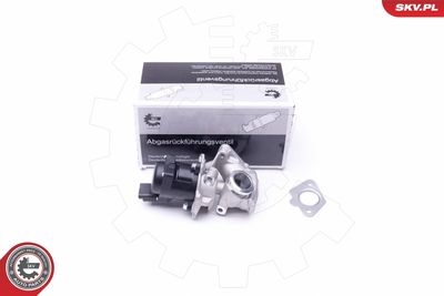 Клапан возврата ОГ ESEN SKV 14SKV202