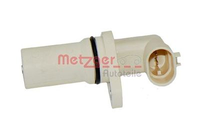  METZGER 0902313