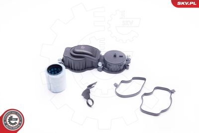 Клапан, отвода воздуха из картера ESEN SKV 31SKV034