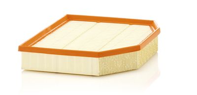 Воздушный фильтр MANN-FILTER C 29 132