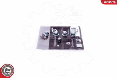 Ремкомплект, модуль впускного коллектора ESEN SKV 49SKV530