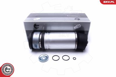 Опора пневматической рессоры ESEN SKV 58SKV063