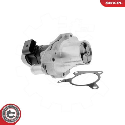 Клапан возврата ОГ ESEN SKV 14SKV304
