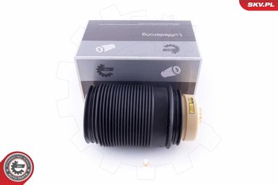 Pneimoatspere, Balstiekārta ESEN SKV 58SKV011