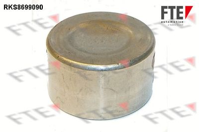 Virzulis, Bremžu suports FTE 9313527