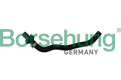 Шланг, вентиляция картера BORSEHUNG B11971