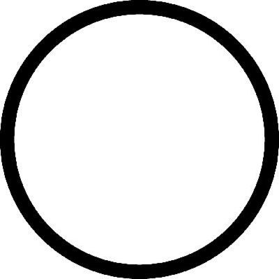 Прокладка, впускной коллектор CORTECO 450097H