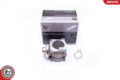 Клапан возврата ОГ ESEN SKV 14SKV108
