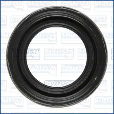 Blīve, Sprauslas kanāls AJUSA 01811300