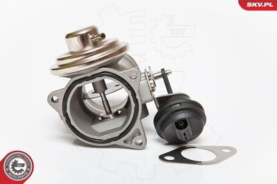 Клапан возврата ОГ ESEN SKV 14SKV081