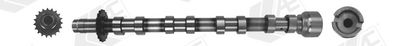 Распредвал AE CAM1019
