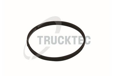 Blīve, Ieplūdes kolektora korpuss TRUCKTEC AUTOMOTIVE 02.14.174