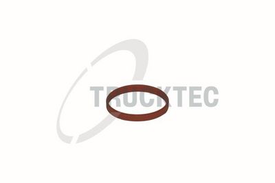 Прокладка, корпус впускного коллектора TRUCKTEC AUTOMOTIVE 08.10.060