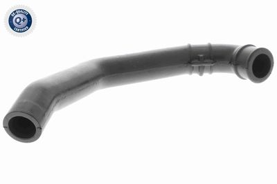 Шланг, вентиляция картера VAICO V30-0915