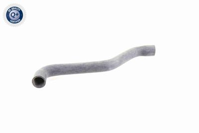 Radiatora cauruļvads VAICO V10-0074