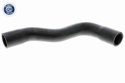 Шланг радиатора VAICO V42-0669