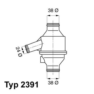 Termostats, Dzesēšanas šķidrums BorgWarner (Wahler) 2391.75