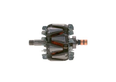 Rotors, Ģenerators BOSCH F 00M 131 660