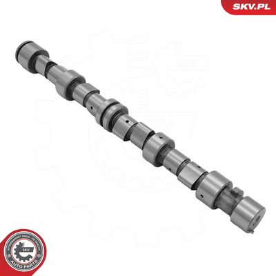 Sadales vārpsta ESEN SKV 80SKV077