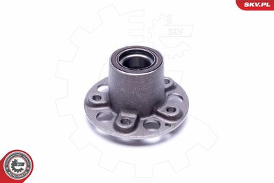 Комплект подшипника ступицы колеса ESEN SKV 29SKV423