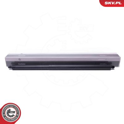 Электромотор, задняя дверь ESEN SKV 52SKV971