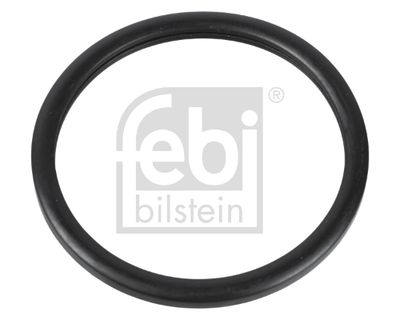 Прокладка, термостат FEBI BILSTEIN 10255