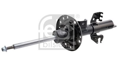 Amortizators FEBI BILSTEIN 1002460