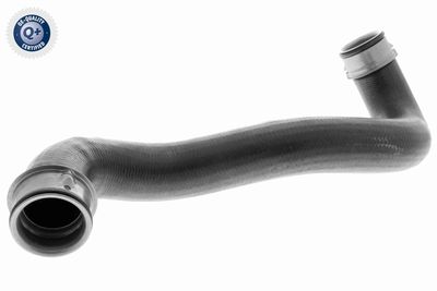 Шланг радиатора VAICO V30-2909