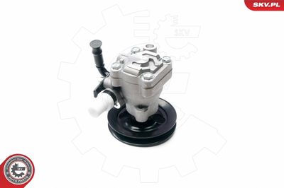 Гидравлический насос, рулевое управление ESEN SKV 10SKV200