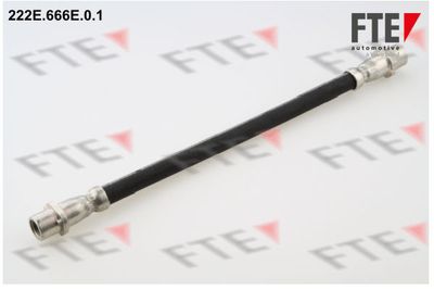 Bremžu šļūtene FTE 9240391