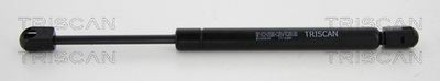 Gāzes atspere, Motora pārsegs TRISCAN 871044101