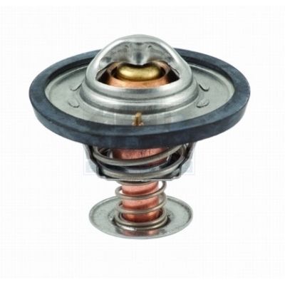 Термостат, охлаждающая жидкость MEAT & DORIA 92091