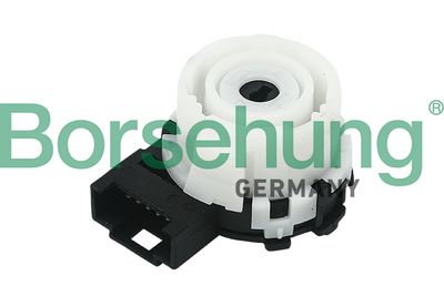 Aizdedzes slēdzis Borsehung B11428