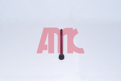 Комплект болтов головки цилидра AMC 258023