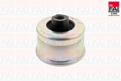 Подвеска, рычаг независимой подвески колеса FAI AutoParts SS2223