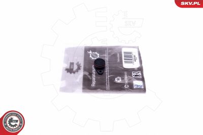 Ремкомплект, модуль впускного коллектора ESEN SKV 49SKV557