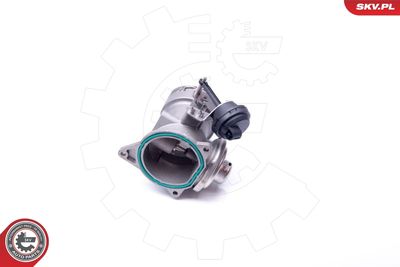 Клапан возврата ОГ ESEN SKV 14SKV093
