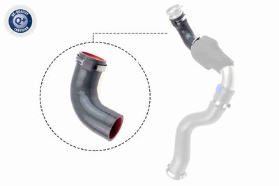 Pūtes sistēmas gaisa caurule VAICO V46-1035